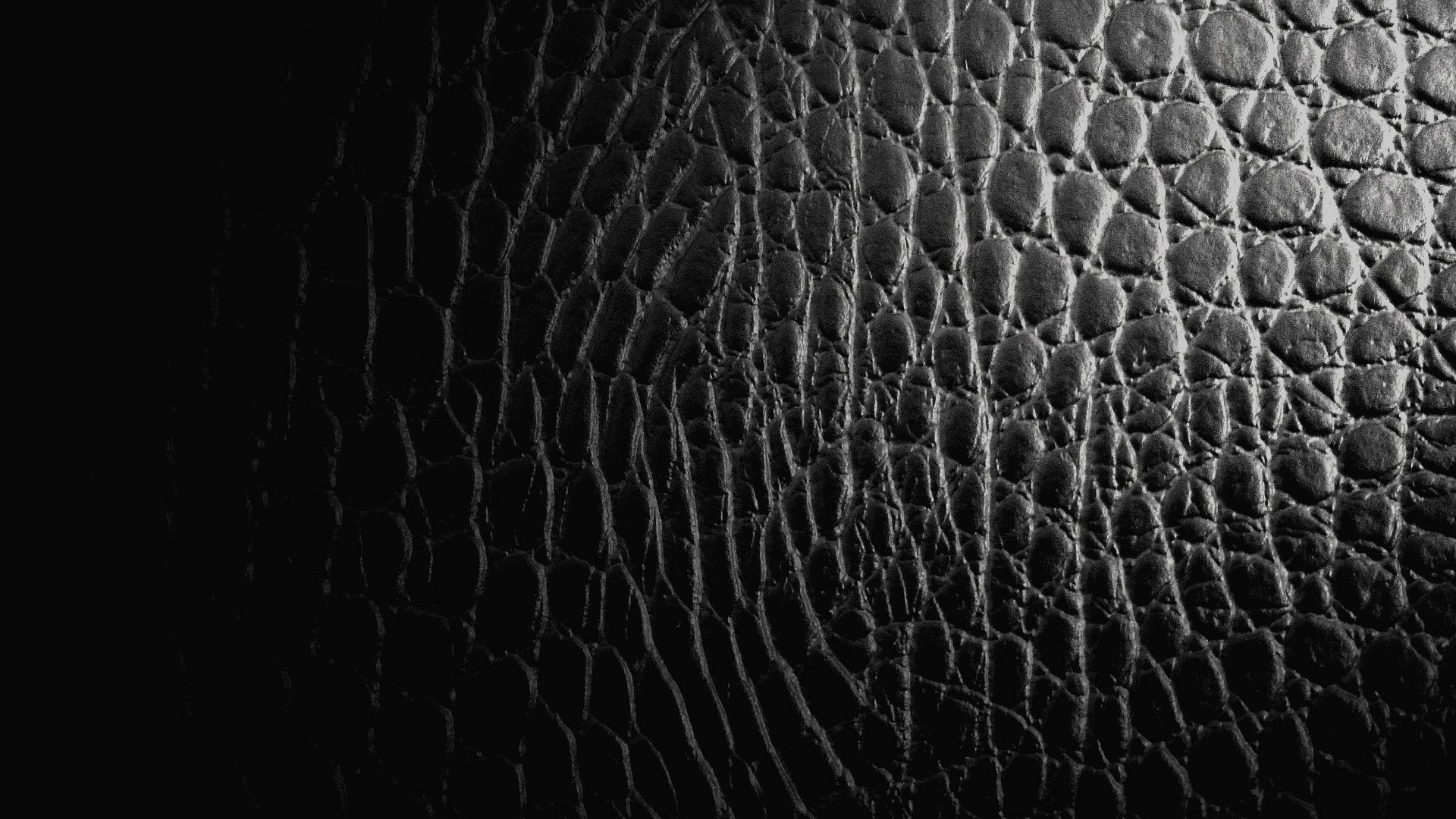 wallpaper_dark_skin_1920_x_1080_full_hd.jpg