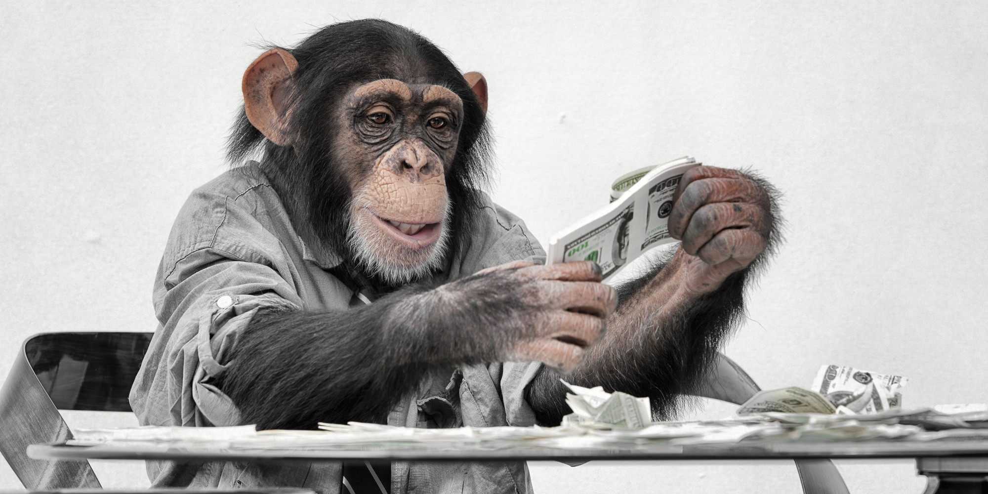 o_MONKEY_MONEY_facebook.jpg