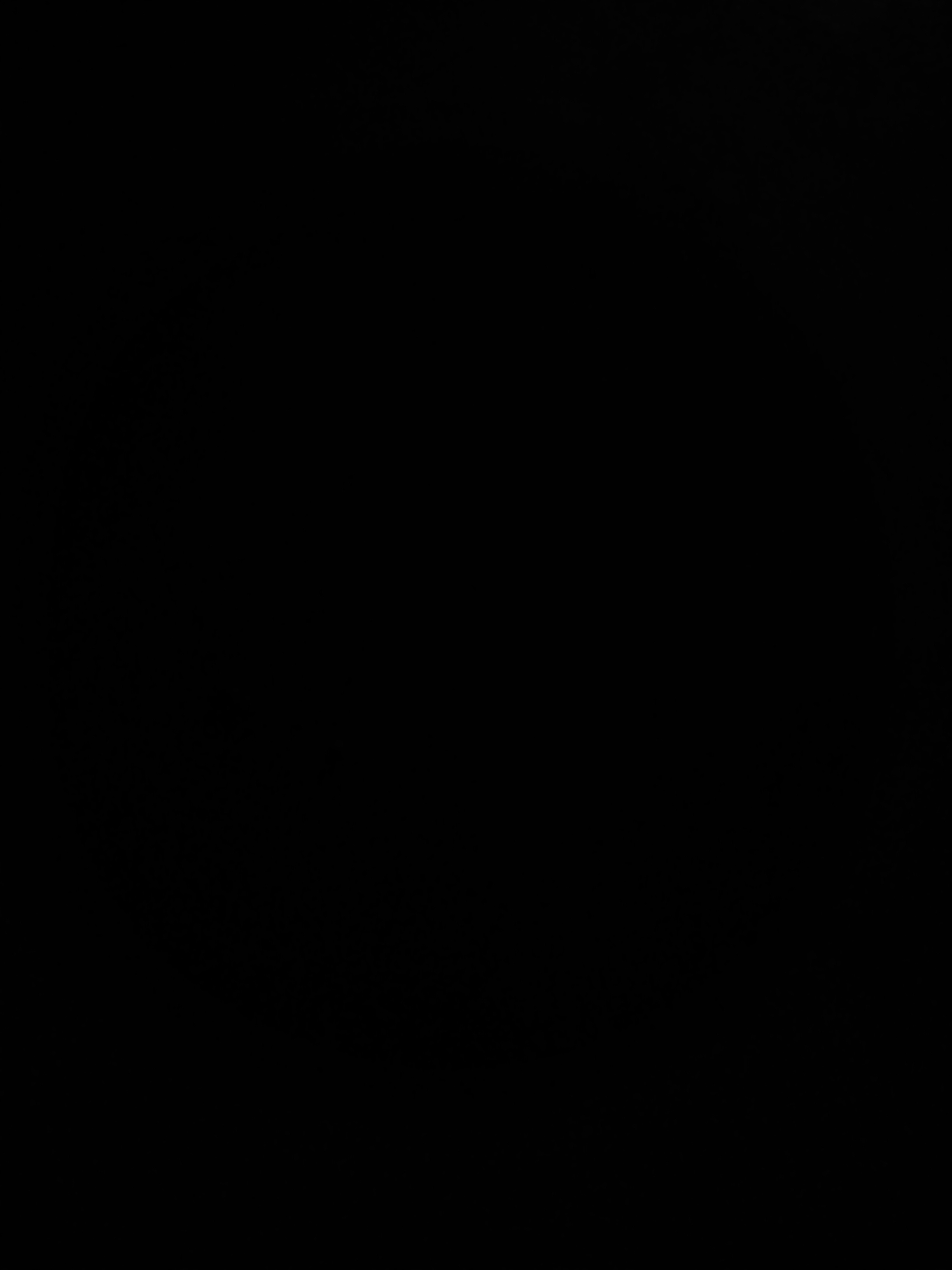 1528131534523445199057.jpg