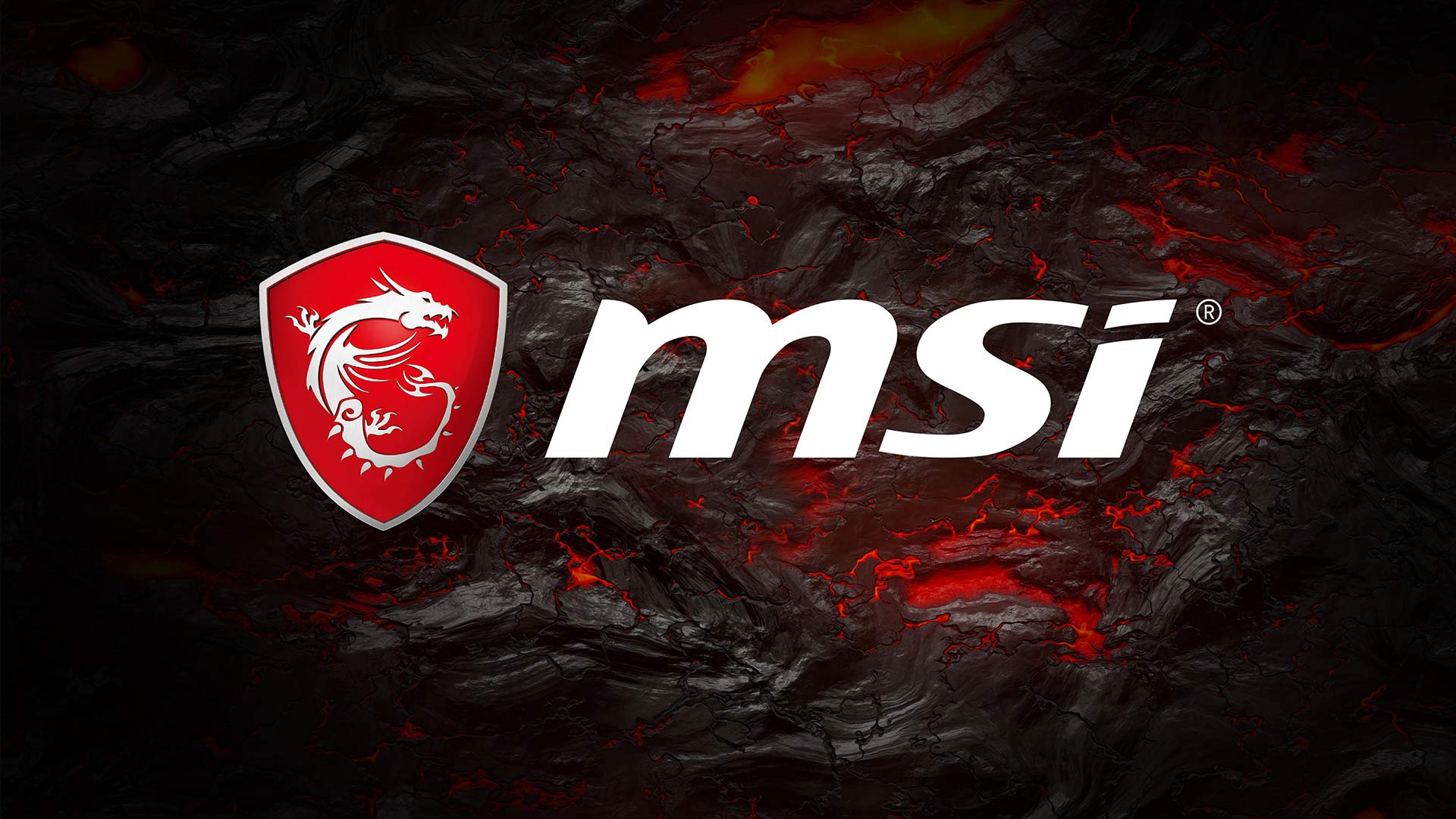 msi_logo.jpg