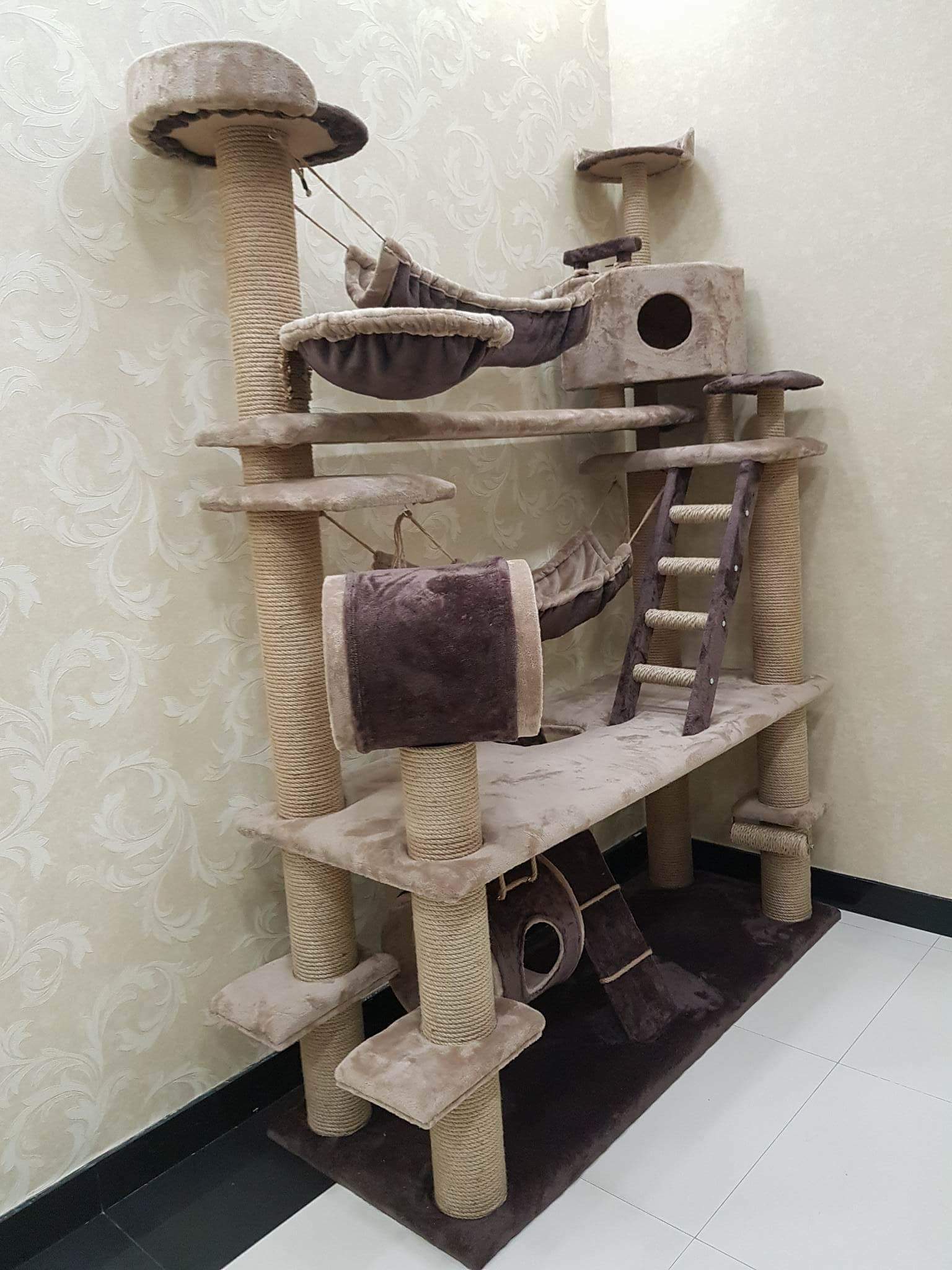 received_463041421124464.jpeg