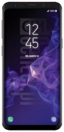 samsung_galaxy_s9plus.jpg