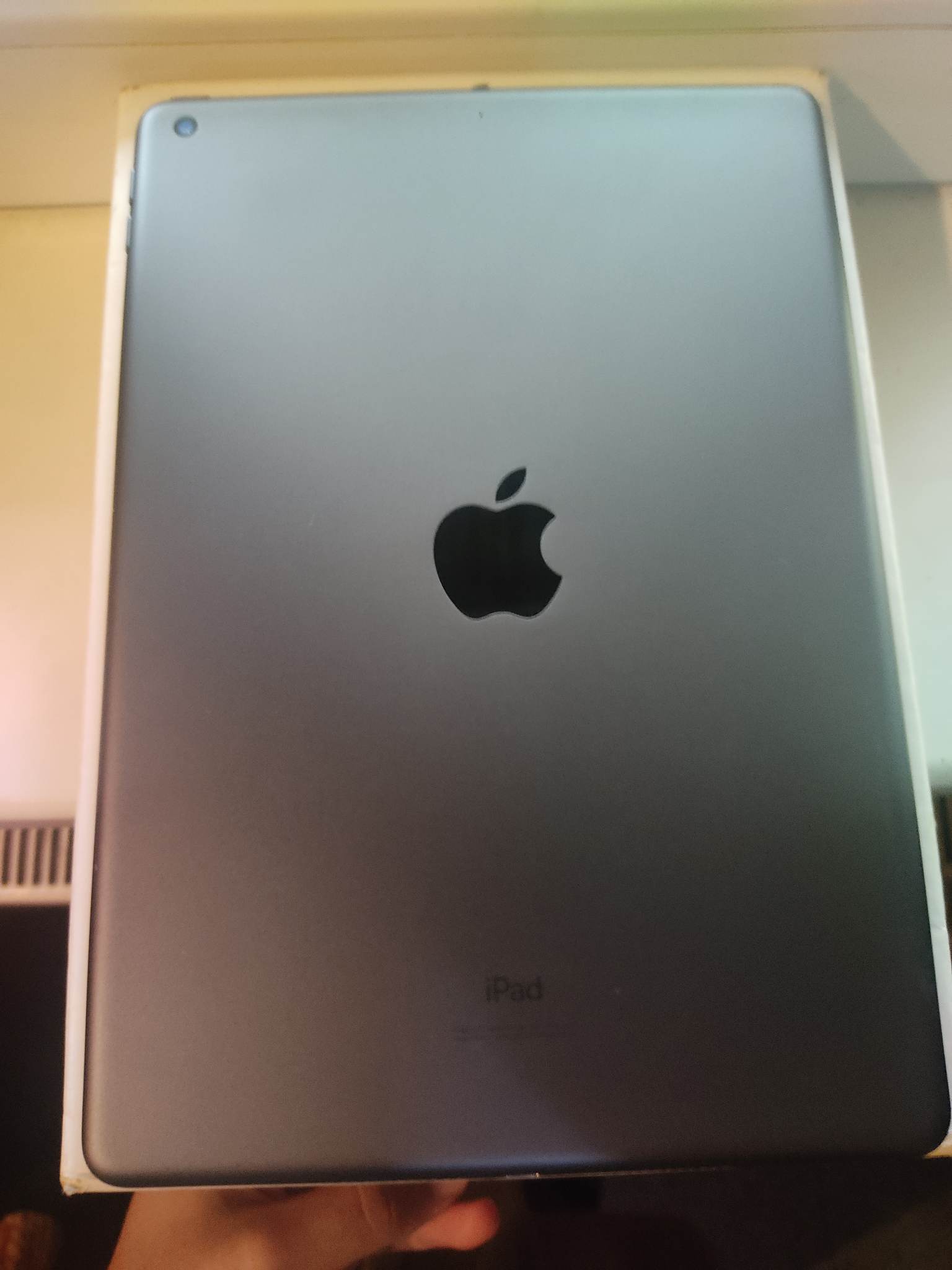 312622260_1337855243620591_4007912380012759584_n.jpg