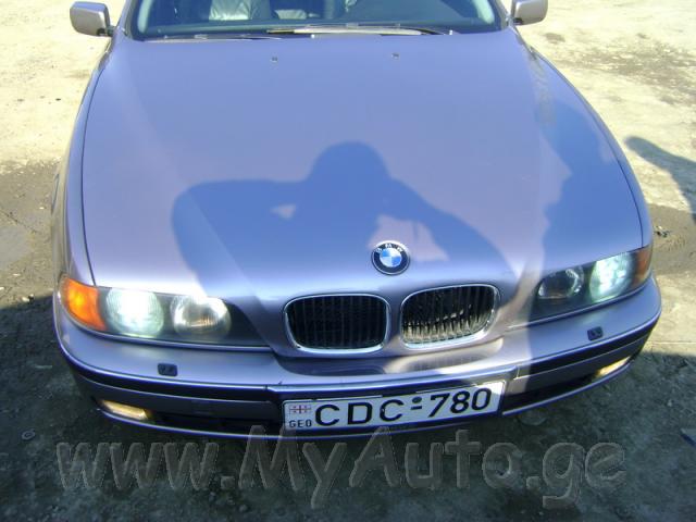 921038_1.jpg