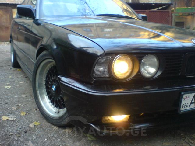 915132_4.jpg