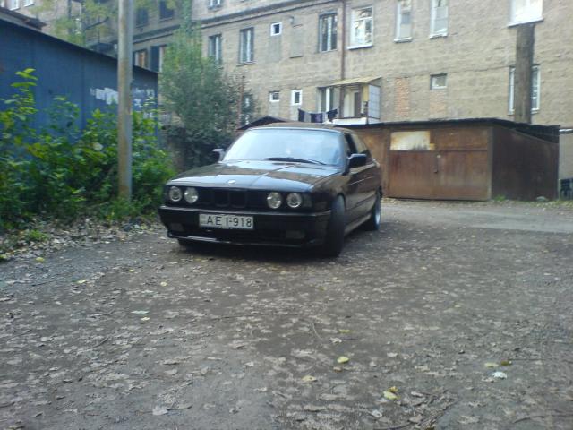 915132_3.jpg