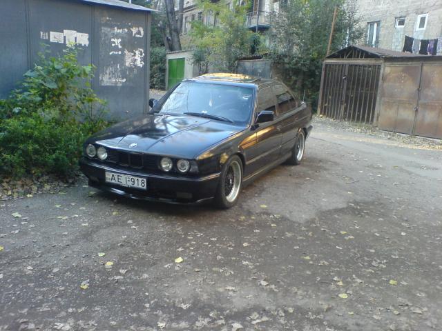 915132_2.jpg