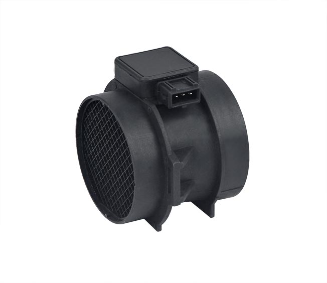 Air_Flow_Meter_5WK9605_.jpg