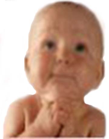 babe.jpg