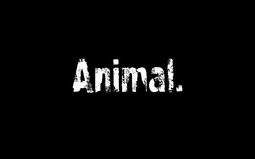 Animal.jpg