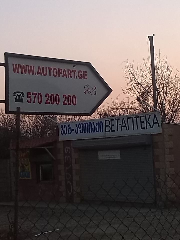 1524927_631190413605806_1537749880_n.jpg
