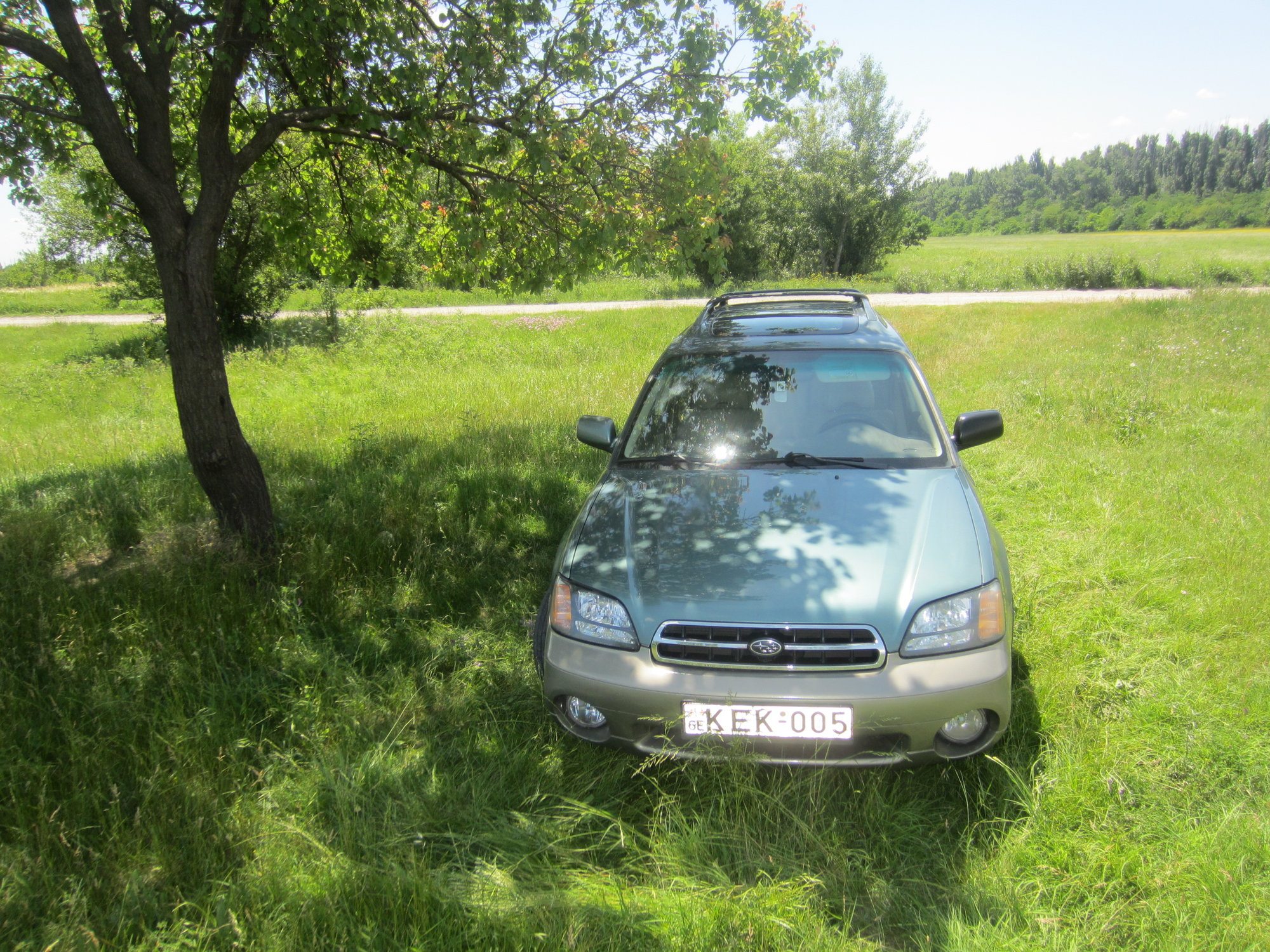 rsz_img_3501.jpg