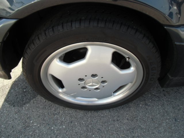 45439_11.jpg