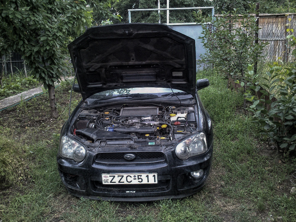 DSC_0247.jpg