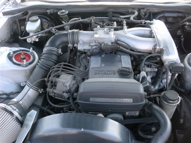 126630_11.jpg