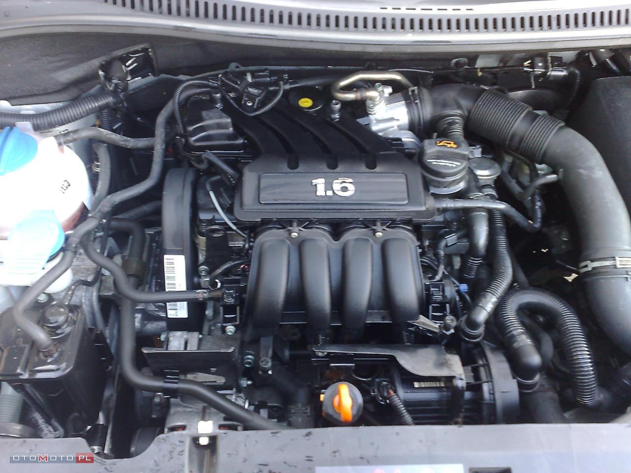C21197186_9.jpg