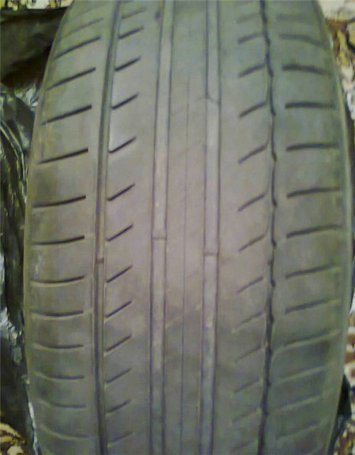 d7269dc692d5.jpg