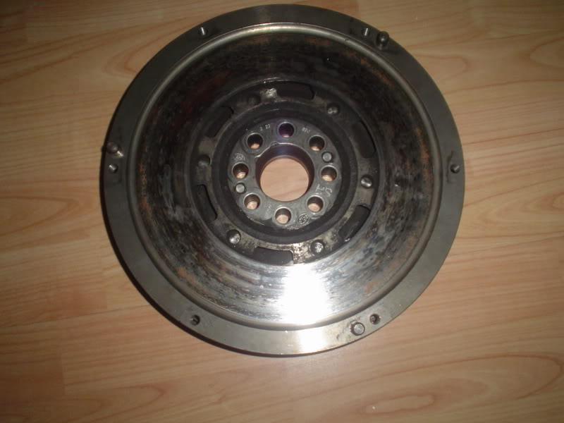 DSC03838.jpg