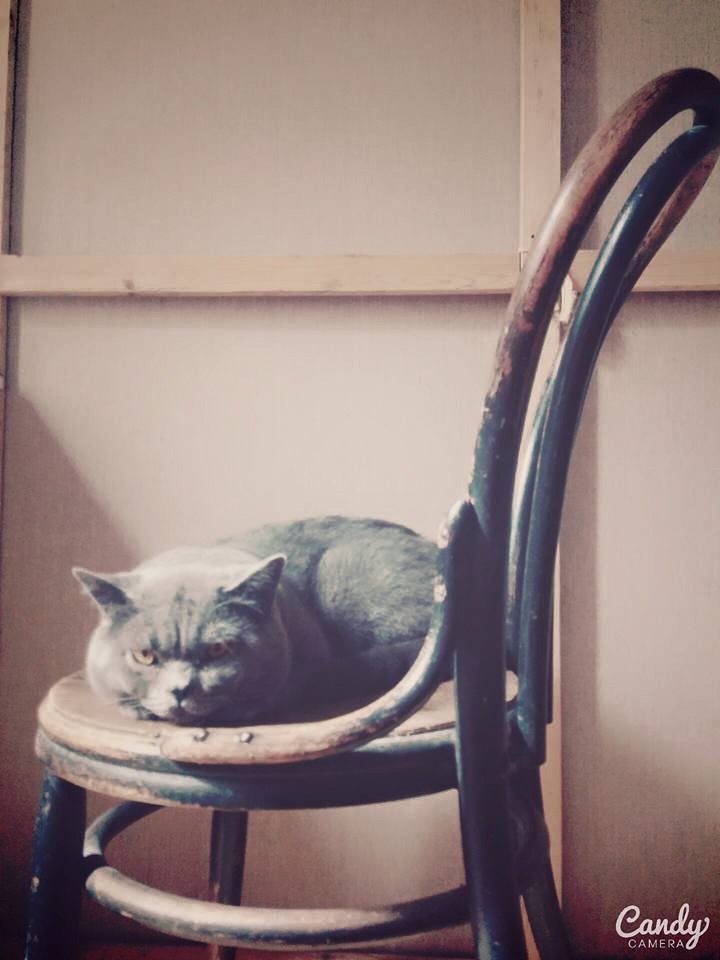 image.jpeg