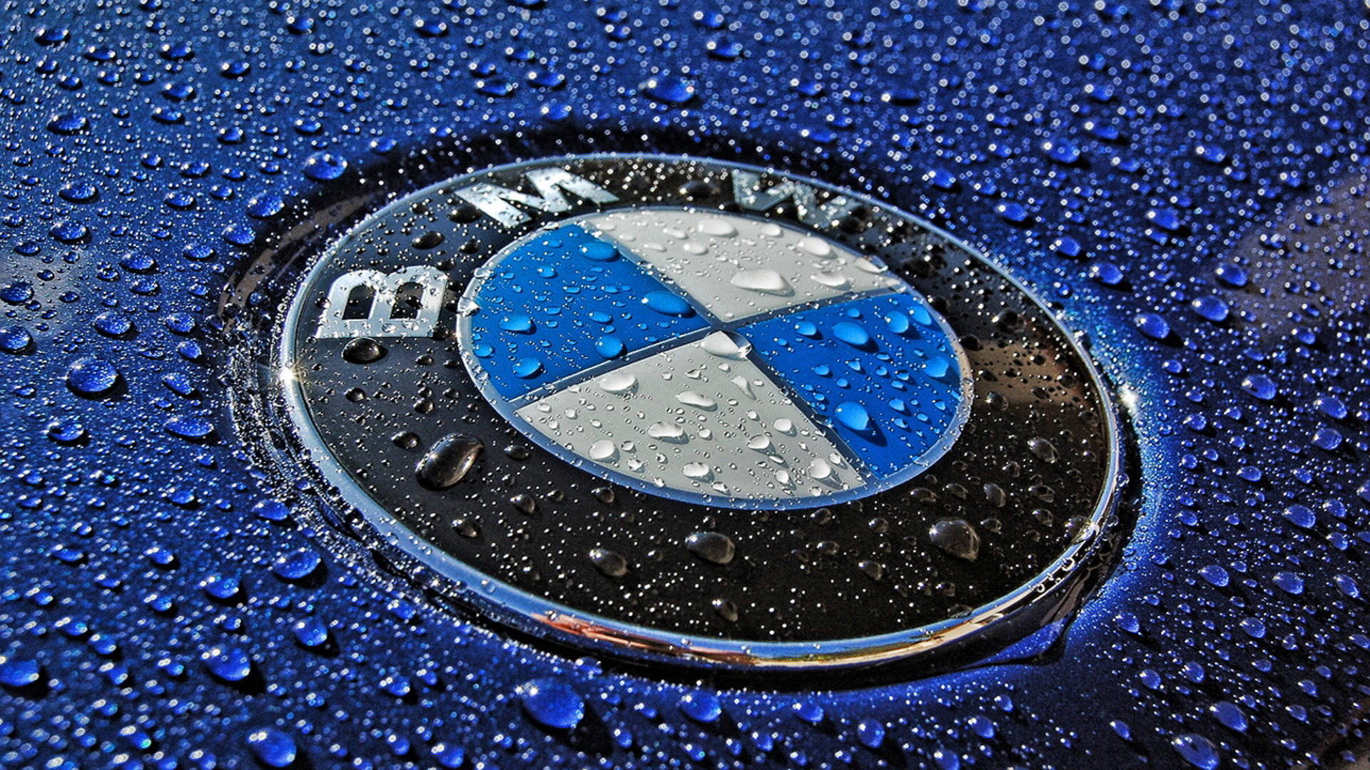 bmwlogo_l_505c09bf3792cb0c.jpg