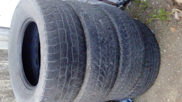 7ebcc82d5619.jpg