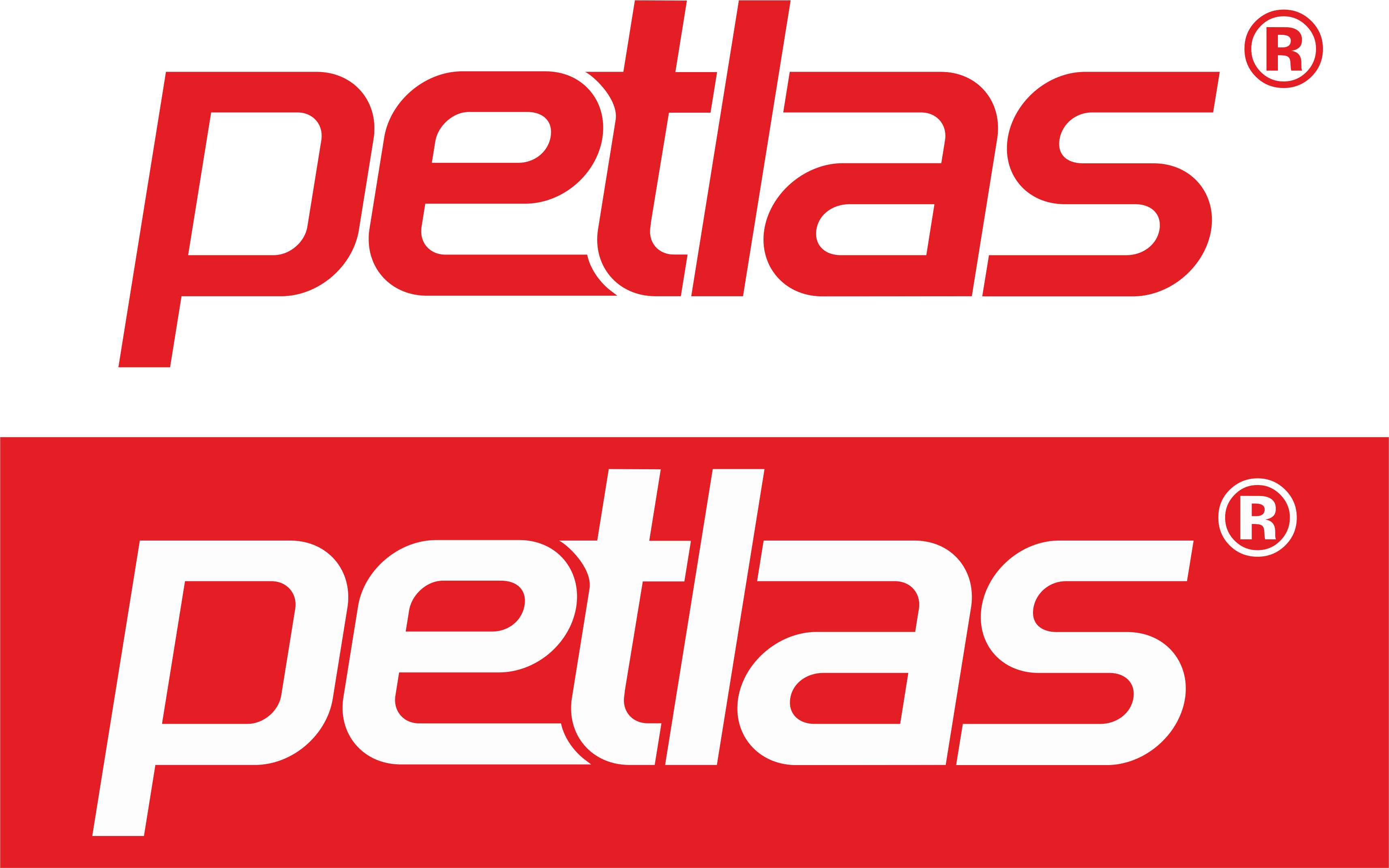 petlas_logo.png