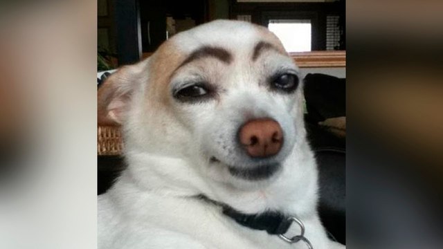 image.jpg