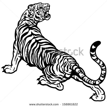stock_vector_tiger_black_and_white_vector_illustration_158861822.jpg