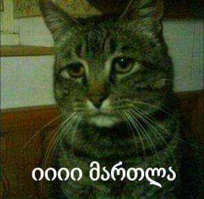 FB_IMG_1482174344633.jpg
