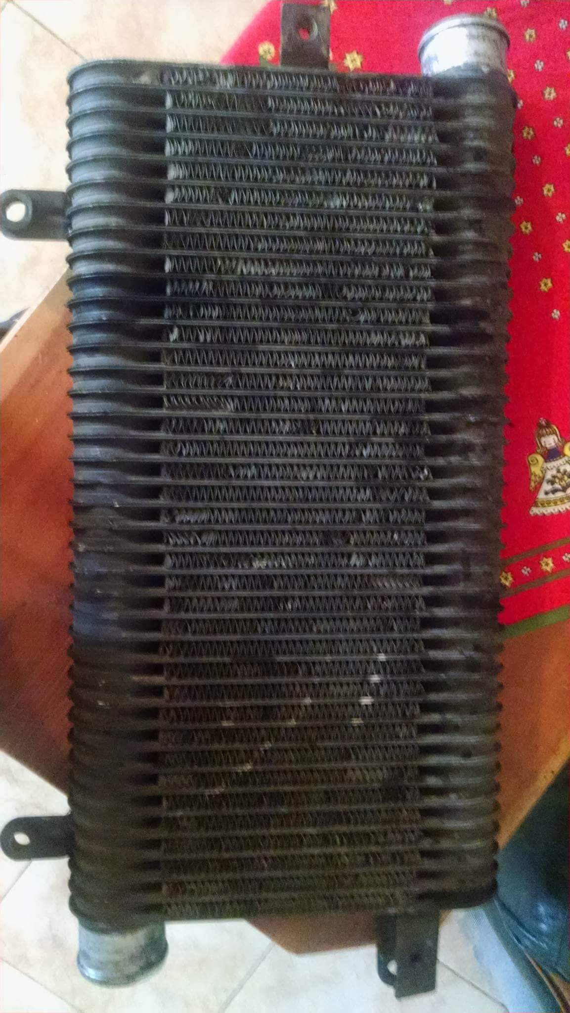 received_1520126628049353.jpeg