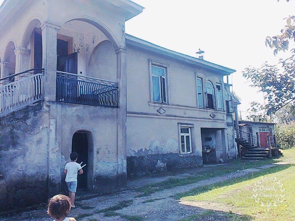 received_231329550634171.jpeg