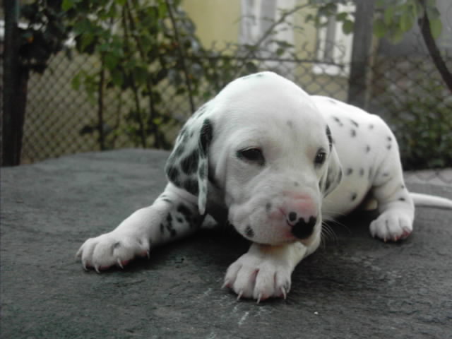 IMAG0002.JPG