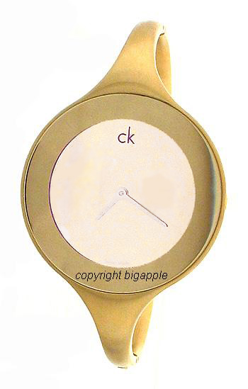 ck12895a.jpg