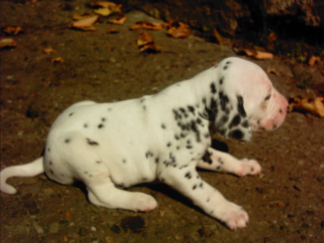 IMAG0010.JPG