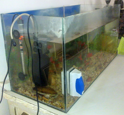 22112009043.jpg