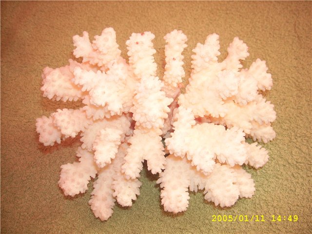 852.jpg