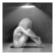 3_8339.gif