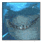 av_78630.gif