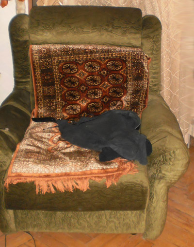 PA260031.JPG