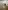 223746_521914077838710_906158910_n___.jpg