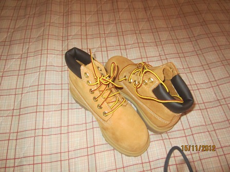 timberlands.jpg