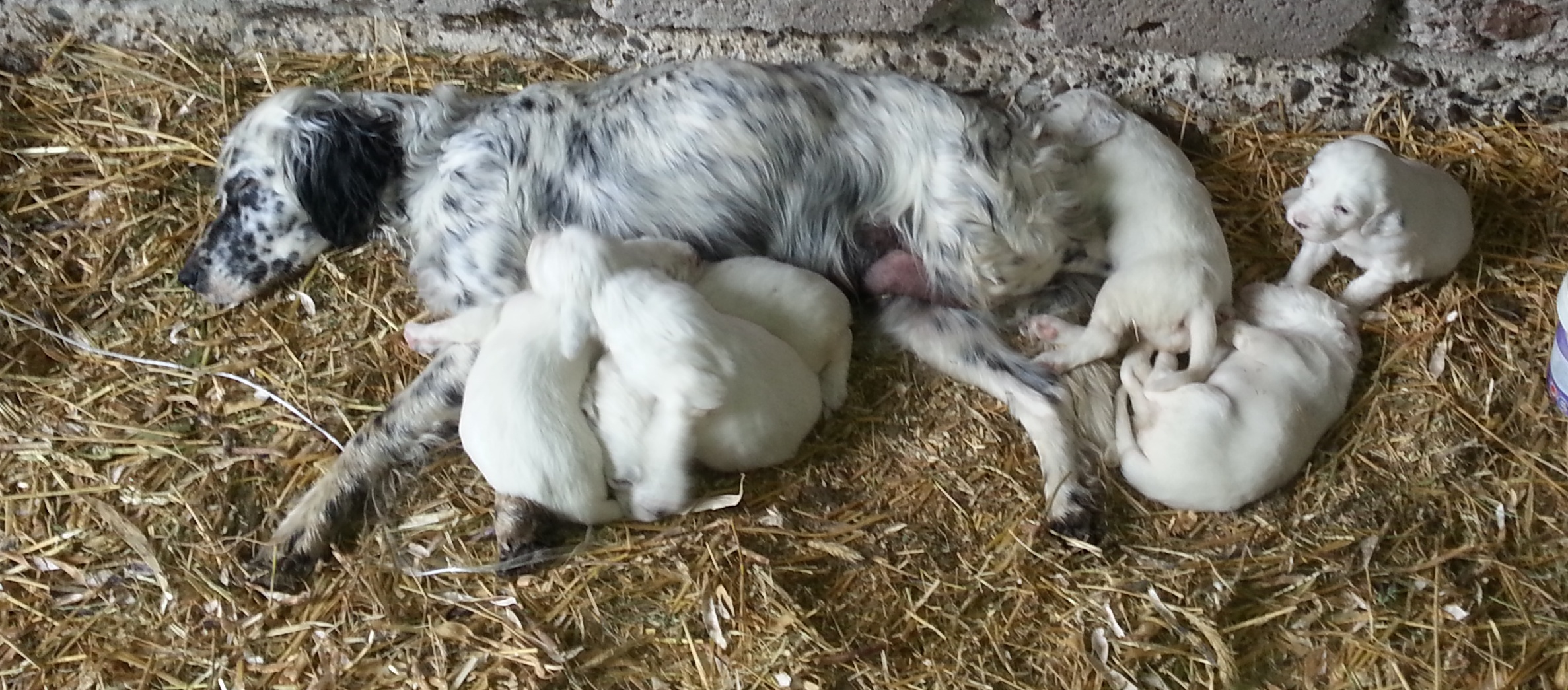 20130526_144003.jpg
