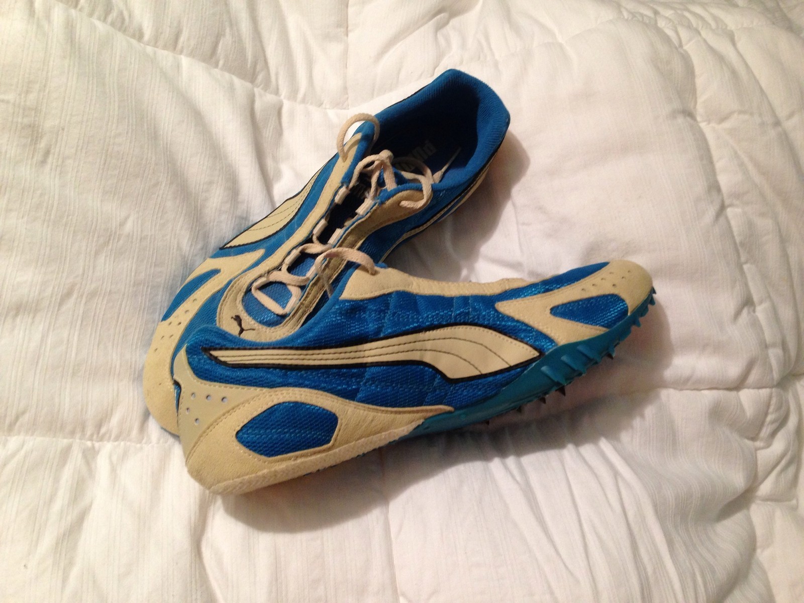 puma_1.jpg