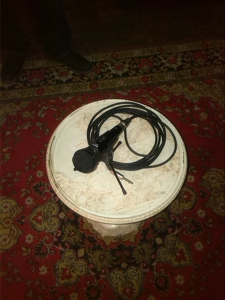 mic2.jpg