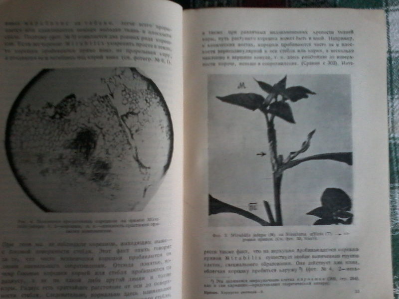 20160222_151804.jpg