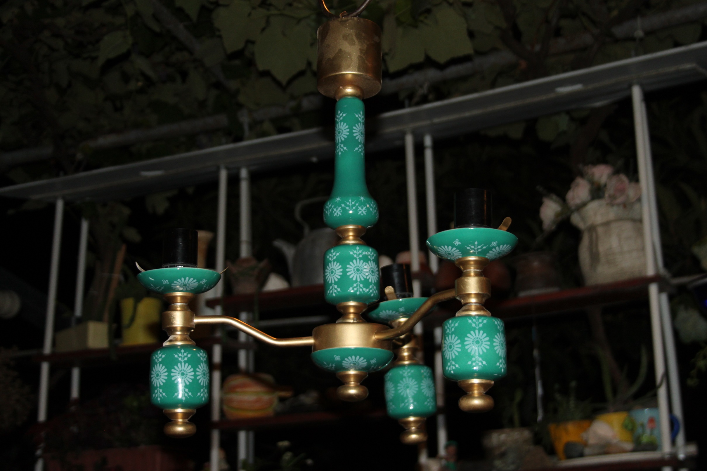 IMG_9873.JPG