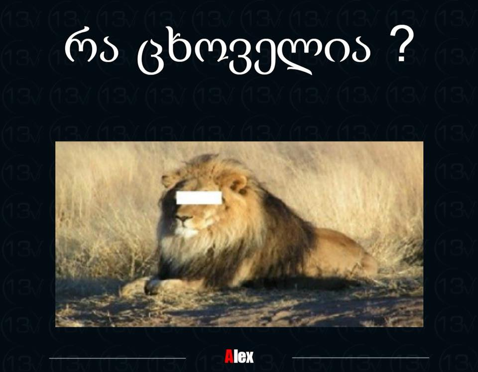 received_1098405043628248.png