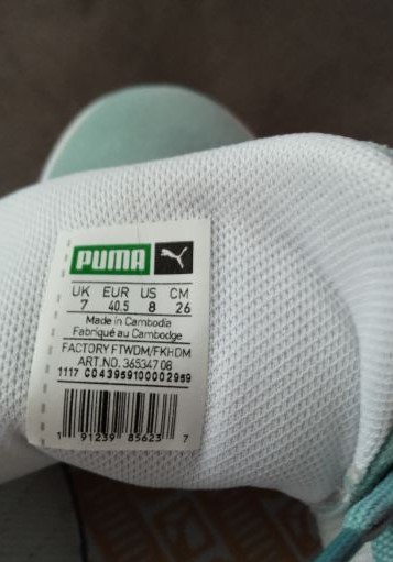 pum_2.jpg