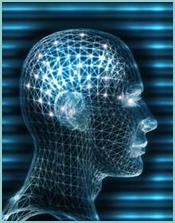 cerebro_1_.jpg