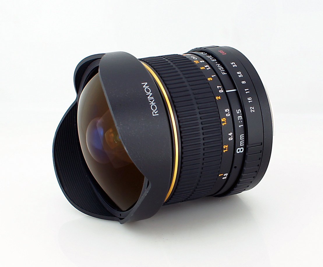 61FgwNSz51L._SL1500_.jpg